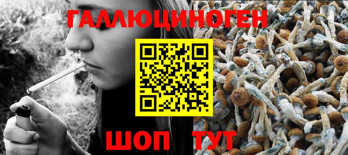 Псилоцибиновые грибы ЛСД Новочеркасск