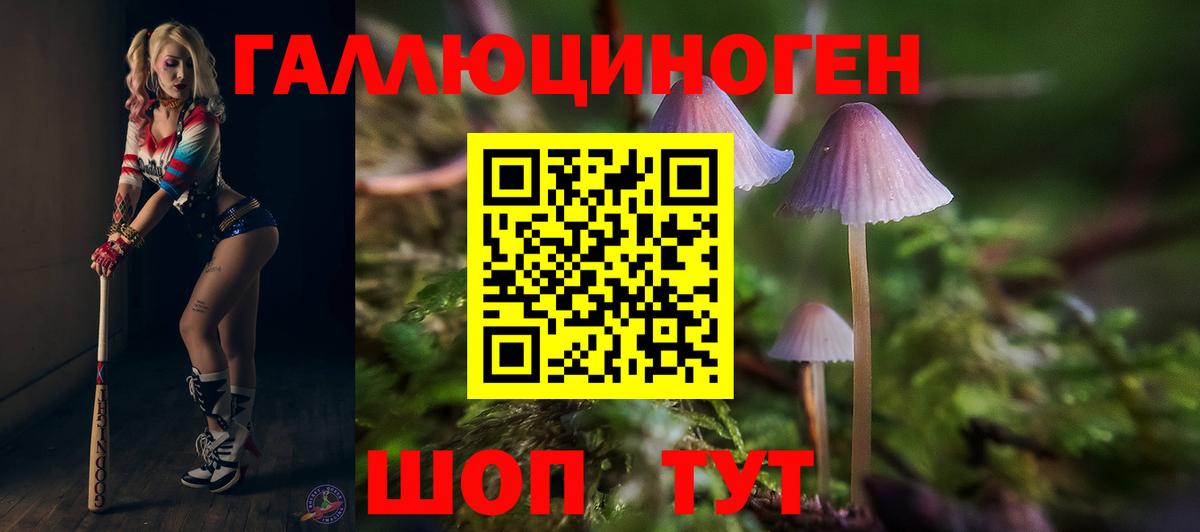 Галлюциногенные грибы Cubensis  Вход с VPN  Новочеркасск 